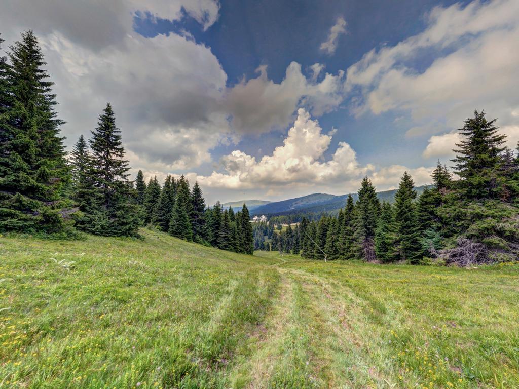 Hotel Angella Kopaonik Eksteriør billede