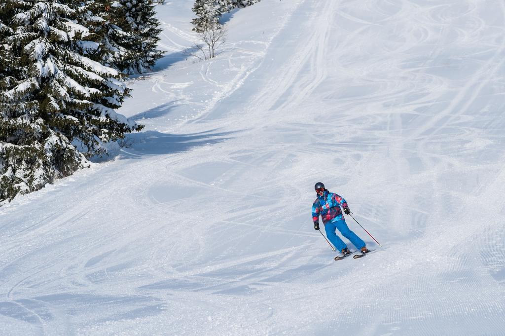 Hotel Angella Kopaonik Eksteriør billede